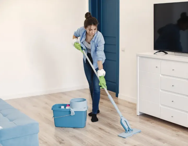 Femme de ménage Flumet